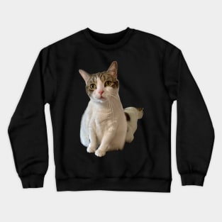 The Tabby Cat Crewneck Sweatshirt